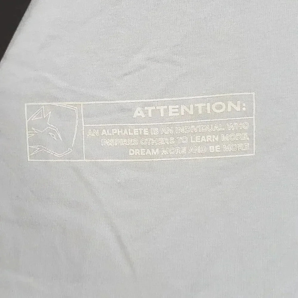 Alphalete Light Blue Performance Fit Tee Size M and L - Picture 2 of 5
